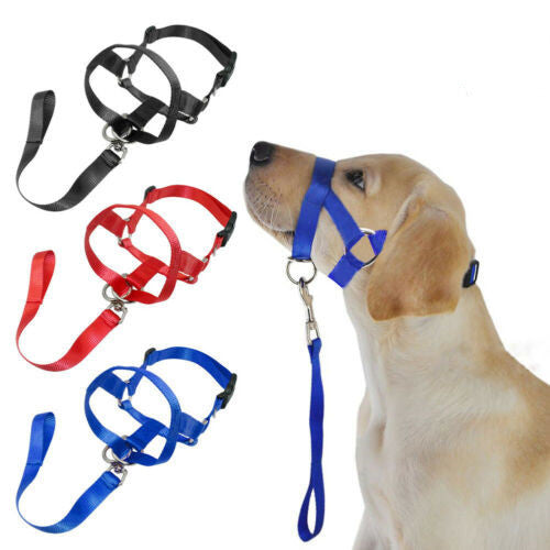 Nylon Muzzle/W Short Leash