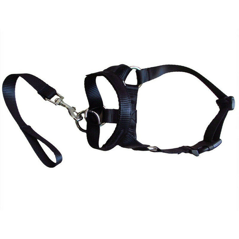 Nylon Muzzle/W Short Leash