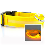 LED Luminous Dog Collar