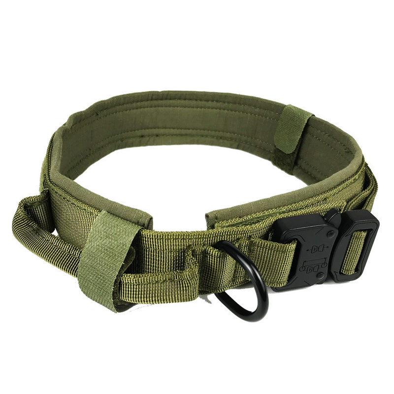 Utility Dog collar