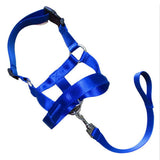 Nylon Muzzle/W Short Leash