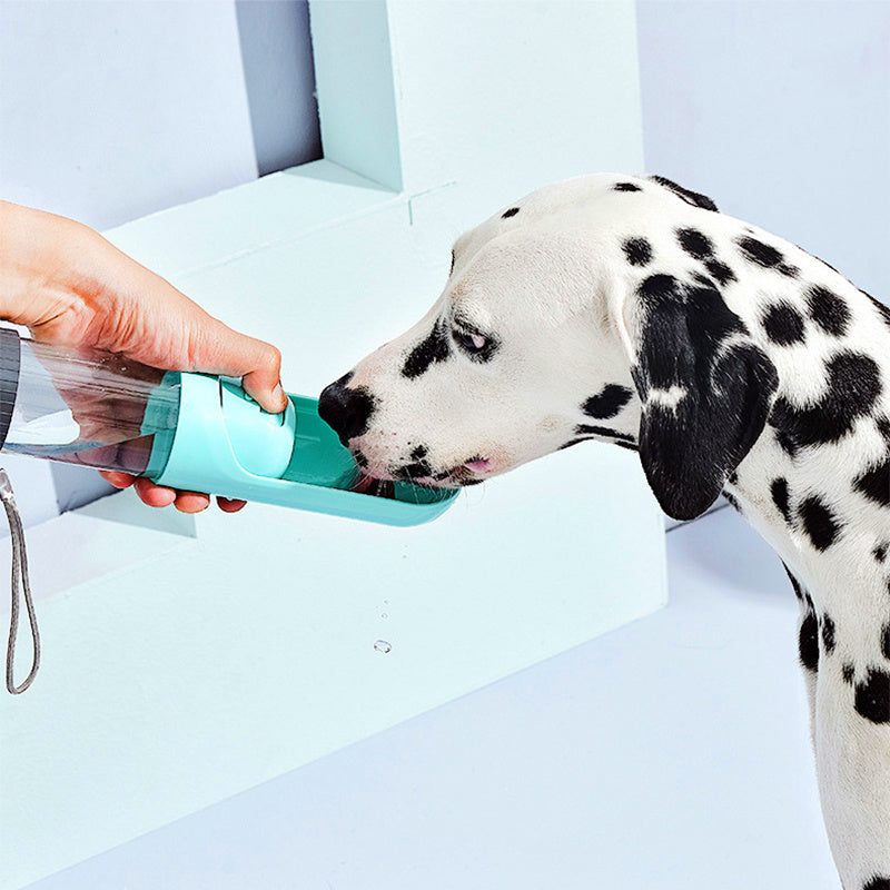 Portable Water Cup