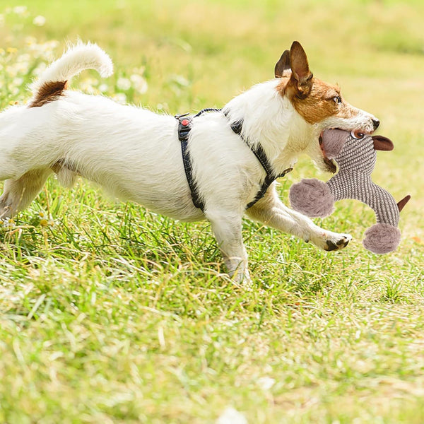 Large Squeaky Stuffed Plush Toy