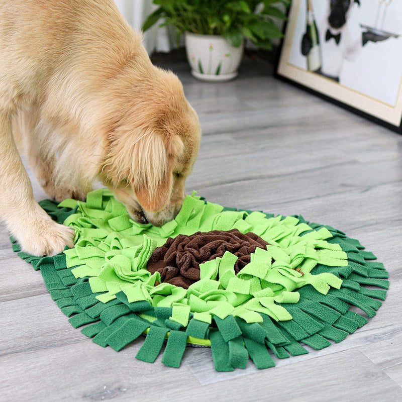 Puzzle Sniffing Mat