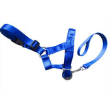 Nylon Muzzle/W Short Leash