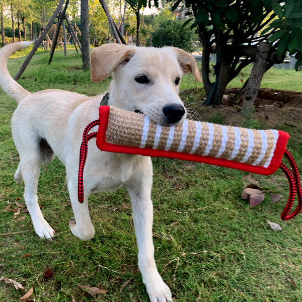 Bite-resistant Dog Stick