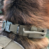 Utility Dog collar