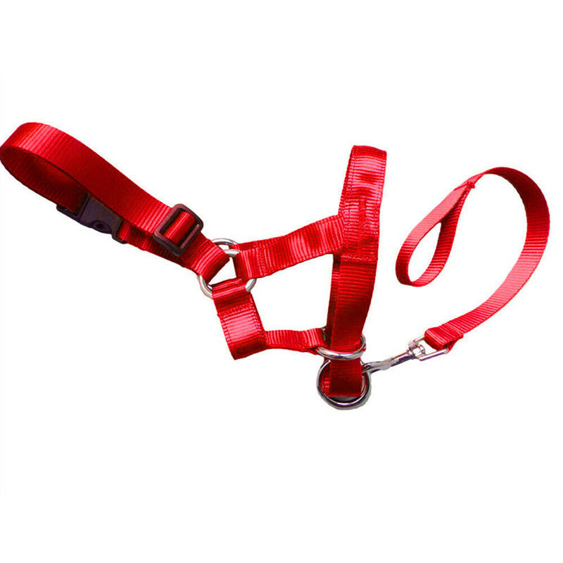 Nylon Muzzle/W Short Leash