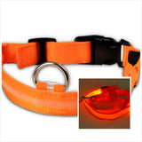 LED Luminous Dog Collar