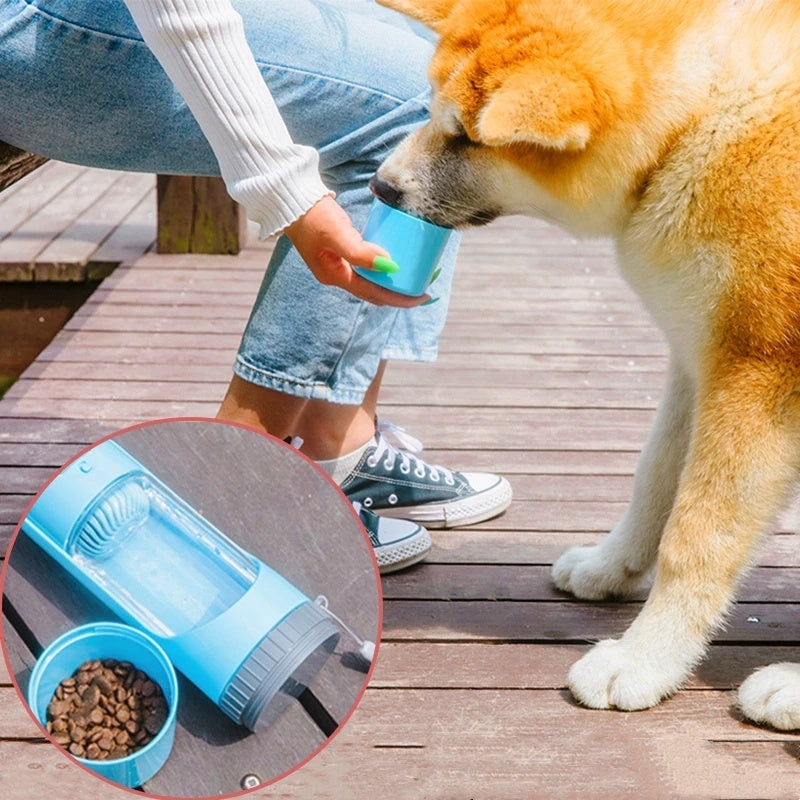 Portable Water Cup