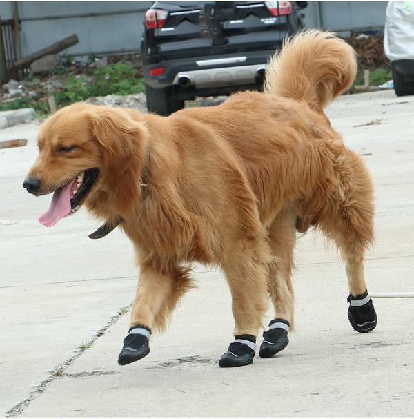 Big Dog Pet Shoes